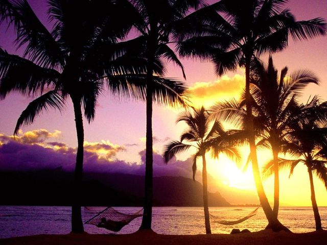 ハワイの風景がpcの画面を彩るスクリーンセイバー 世界のフラ タヒチアン ハワイアン無料素材