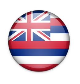 ハワイ州旗　大きさ色々