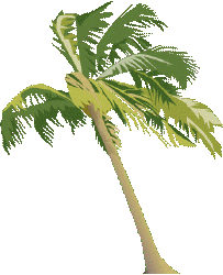 椰子の木（パームツリー）クリップアート色々
