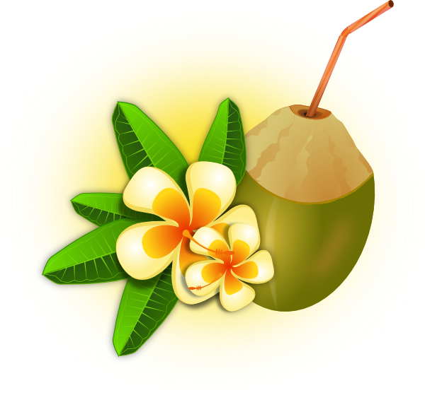 Tropical Flower With Coconut Drink Hi 世界のフラ タヒチアン ハワイアン無料素材